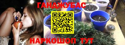ПСИЛОЦИБИНОВЫЕ ГРИБЫ Коммунар